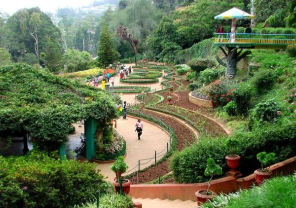 Ooty Honeymoon Packages Best Places To Visit Enjoy Sightseeing Of Ooty To Rejuvenate Your Senses Enjoy Sightseeing Of Ooty To Rejuvenate Your Senses